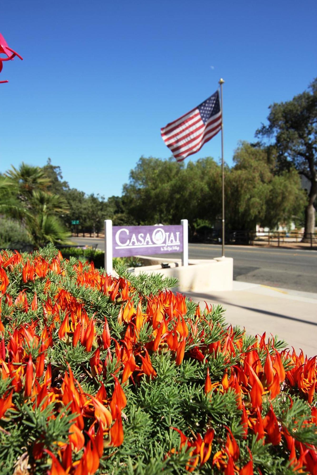 Casa Ojai Inn Eksteriør billede