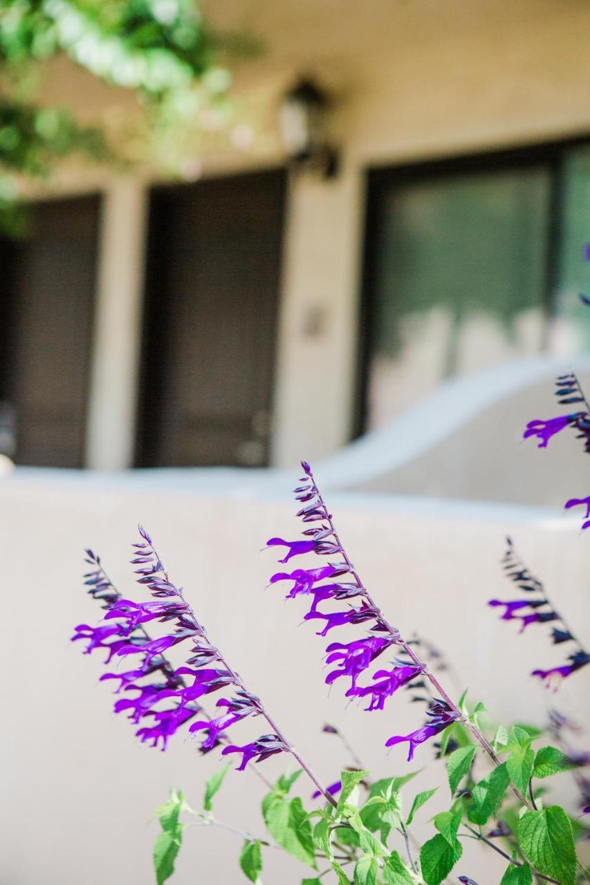Casa Ojai Inn Eksteriør billede