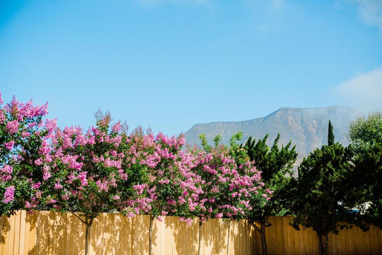 Casa Ojai Inn Eksteriør billede